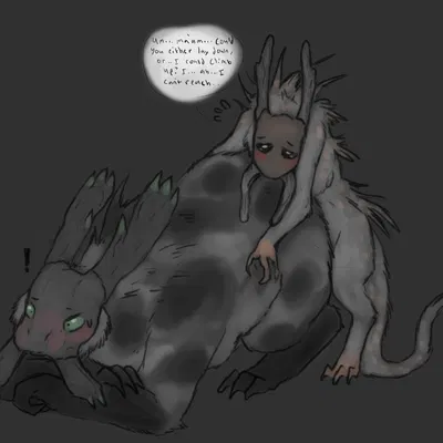 rain world, videocult created by welcometaco