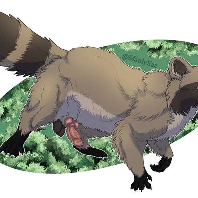 richter raccoon created by manlykaz