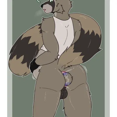 richter raccoon created by punkt.punkk