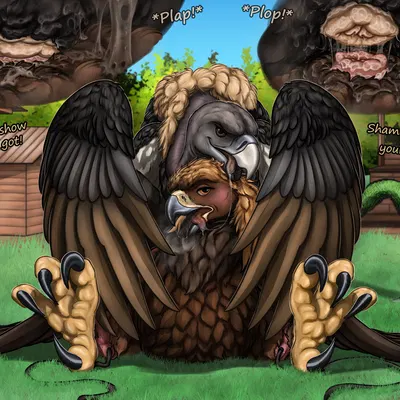 sawyer (ferobird) created by ferobird