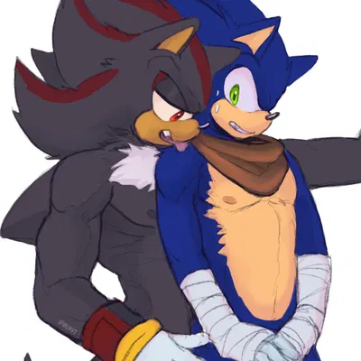 shadow the hedgehog, sonic the hedgehog (sega, sonic boom) created by aciidtron