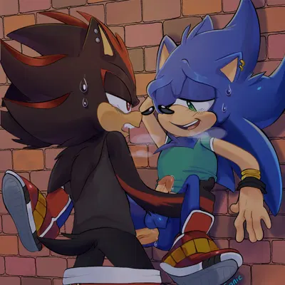 shadow the hedgehog, sonic the hedgehog (sega, sonic the hedgehog (series)) created by sailorsonic