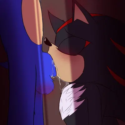 shadow the hedgehog, sonic the hedgehog (sega, sonic the hedgehog (series)) created by zoley