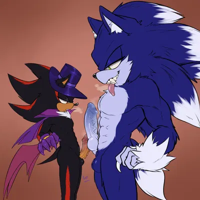 shadow the hedgehog, sonic the hedgehog, sonic the werehog (sega, sonic the hedgehog (series)) created by aoibeast