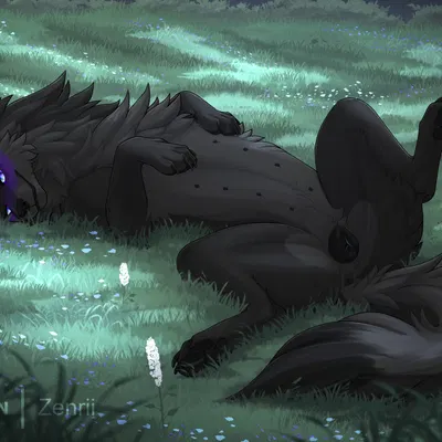 solana (zenrii) created by zenrii