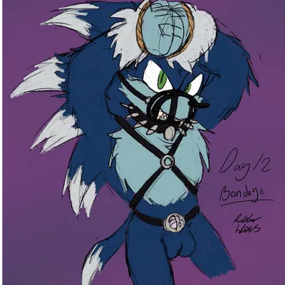 sonic the hedgehog, sonic the werehog (sega, sonic the hedgehog (series)) created by rubberh0es