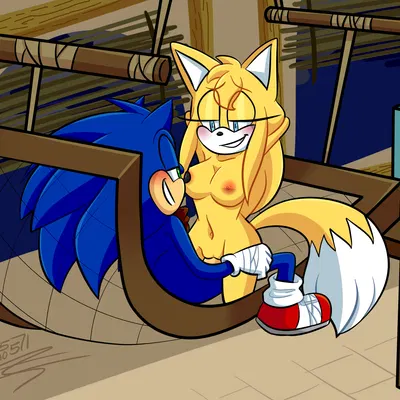 sonic the hedgehog, zooey the fox (sega, sonic boom) created by ninotrash