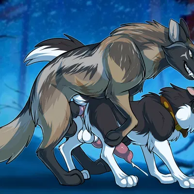 steele (balto) (balto (series), universal studios) created by zetsin