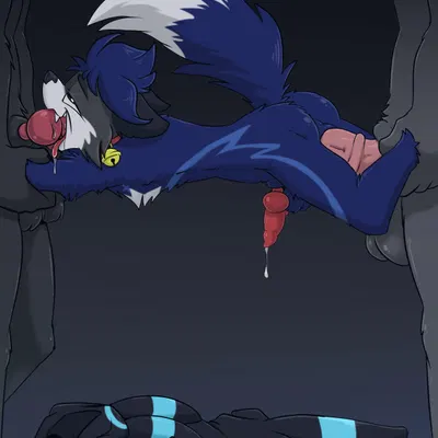 swifysu created by fuf