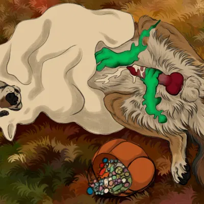 taki (taki-wolf) (halloween) created by msdeadsoul