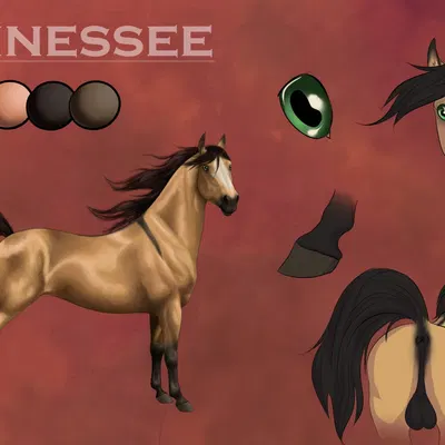 tennesseestud created by rufciu