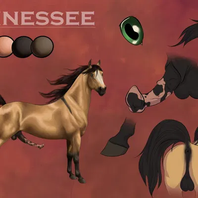 tennesseestud created by rufciu