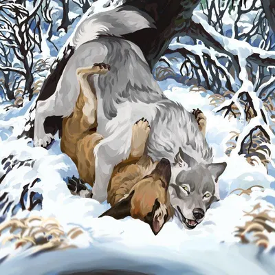 timbera created by wavyrr