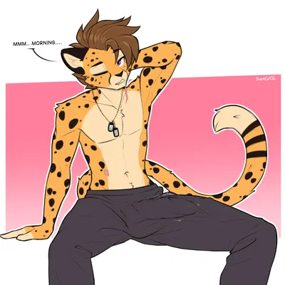 zachariah (velocitycat) created by sharkcatsg