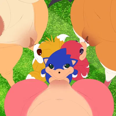 amy rose, knuckles the echidna, miles prower (sega, sonic the hedgehog (series)) created by sadflowerhappy