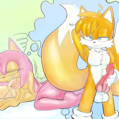 amy rose, miles prower (sega, sonic the hedgehog (series)) created by galaxyviolet