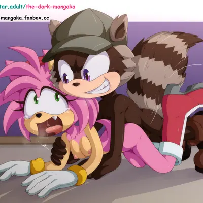 amy rose (sega, sonic the hedgehog (series)) created by the dark mangaka