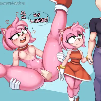 amy rose (sega, sonic the hedgehog (series)) created by triggerpigart