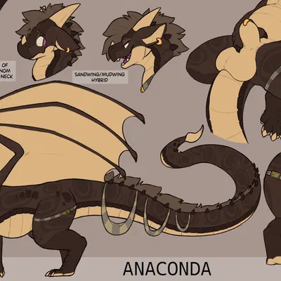 anaconda (canihugagryphon) (european mythology, mythology) created by scafen (artist)
