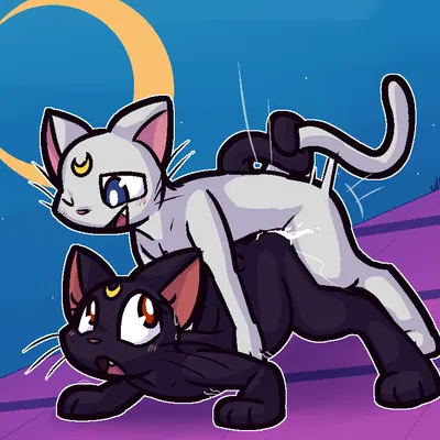 artemis (sailor moon), luna (sailor moon) (sailor moon (series)) created by ultilix