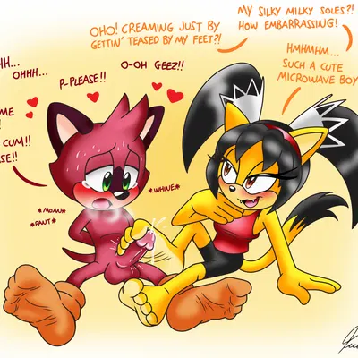 barry (sonic), honey the cat (sega, sonic the fighters) created by skoufidios