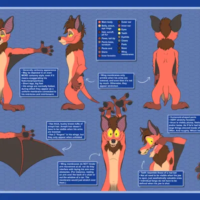 baxter cole created by dracovar valeford