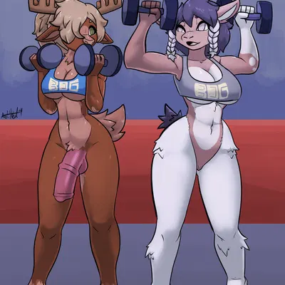 bdgym created by bear213