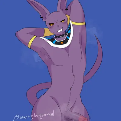 beerus (dragon ball, dragon ball super) created by barkxfang