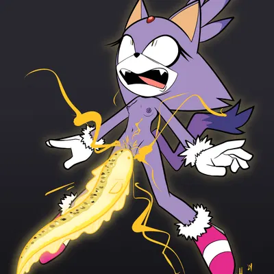 blaze the cat (sega, sonic the hedgehog (series)) created by lettuce (artist)