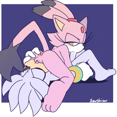 blaze the cat, silver the hedgehog (sega, sonic the hedgehog (series)) created by senshion