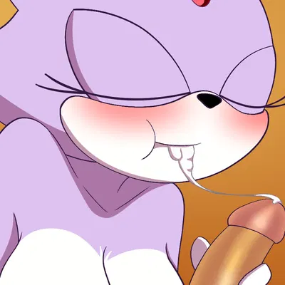 blaze the cat, silver the hedgehog (sega, sonic the hedgehog (series))