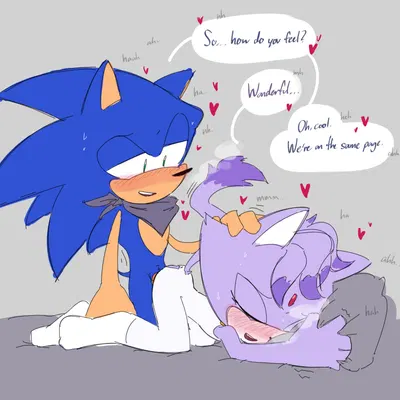 blaze the cat, sonic the hedgehog (sega, sonic the hedgehog (series)) created by 2toastyyy