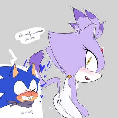blaze the cat, sonic the hedgehog (sega, sonic the hedgehog (series)) created by 2toastyyy