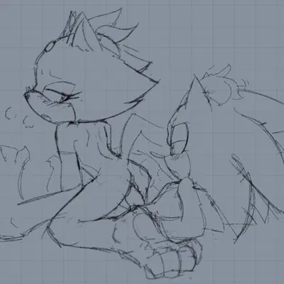 blaze the cat, sonic the hedgehog (sega, sonic the hedgehog (series)) created by 2toastyyy