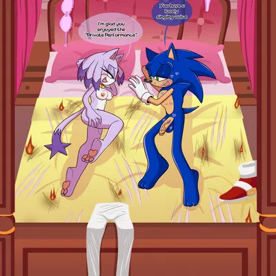 blaze the cat, sonic the hedgehog (sega, sonic the hedgehog (series)) created by ninotrash