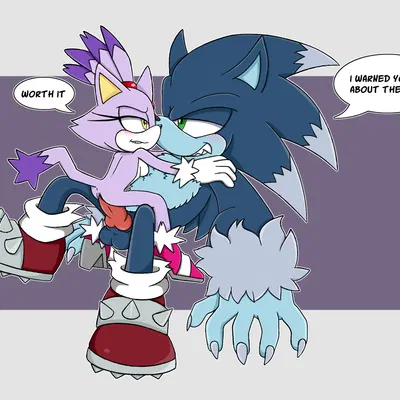blaze the cat, sonic the hedgehog, sonic the werehog (mythology, sega) created by silentmist