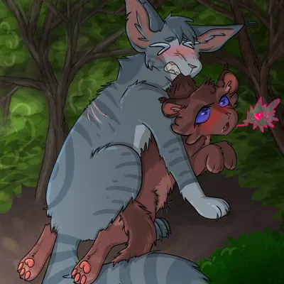 briarlight (warriors), jayfeather (warriors) (warriors (book series)) created by whitefroggim