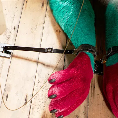 c4d created by daytia