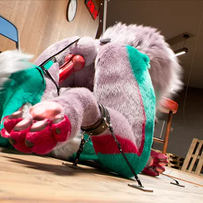 c4d created by daytia