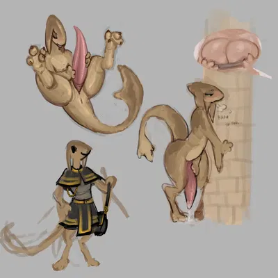 chucklefish, starbound created by umamipenis