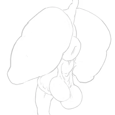 created by atpandotcom