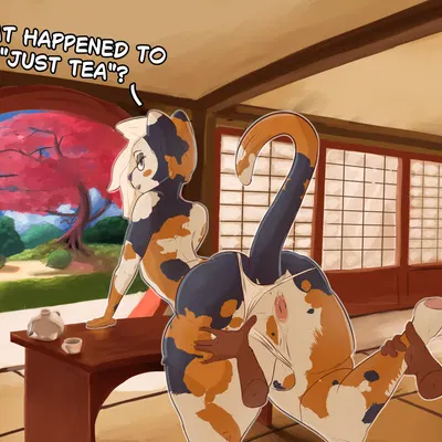 created by claycastle