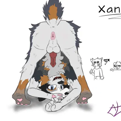 created by critterleaf, preorderval