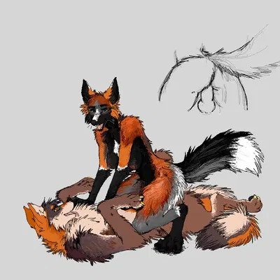 created by jeffusherb