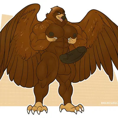 created by nandarazzi