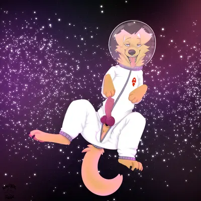 created by nauticalcanine