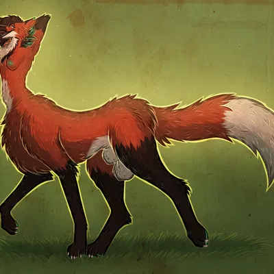 created by pumaparlor