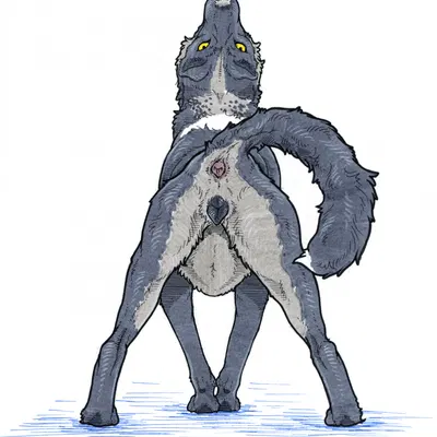 created by sketchy shelby