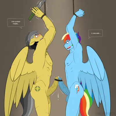 daring do (mlp), rainbow dash (mlp) (friendship is magic, hasbro) created by shallowwin