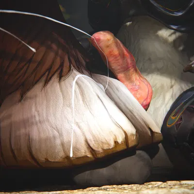 destiney crawford (thatworgen) (blizzard entertainment, warcraft) created by thatworgen